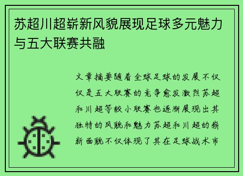 苏超川超崭新风貌展现足球多元魅力与五大联赛共融
